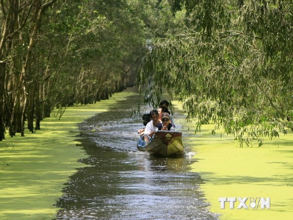 Hấp dẫn du lịch trải nghiệm mùa nước nổi ở Vườn Tràm Chim